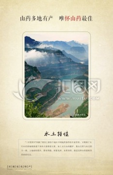 河南名優(yōu)特產(chǎn)焦作懷山藥