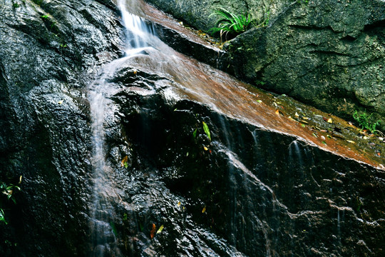 山间小溪流水