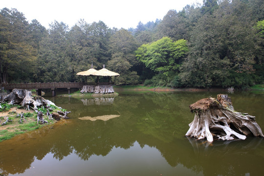 阿里山姊妹潭