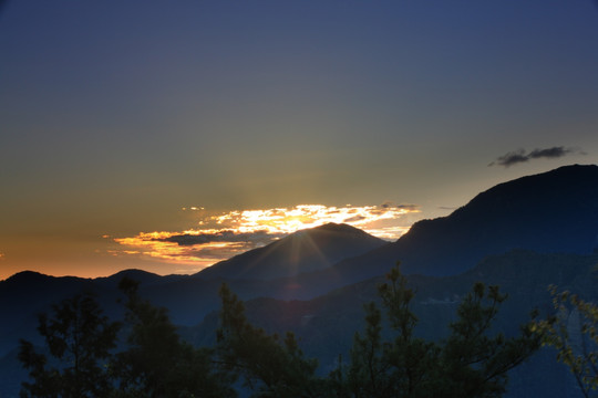 祝山櫻花