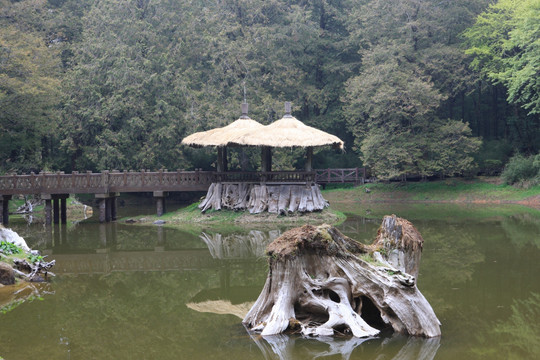 台湾风景