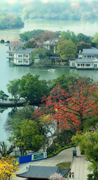 紅棉西湖