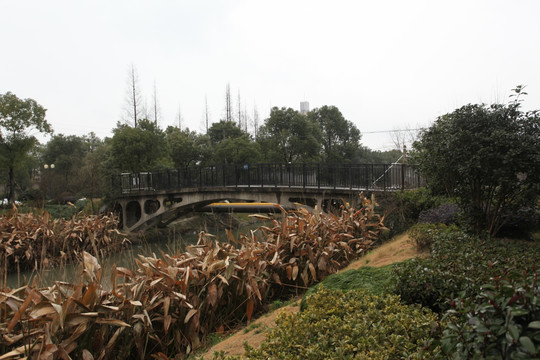 江南 水乡 春天 阴雨天 梅雨