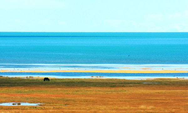 青海湖