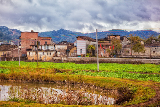 上岳古村田园风光