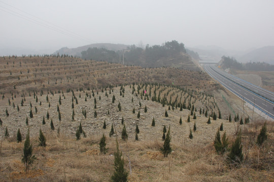 谷竹高速公路百里景廊