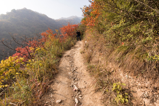 秦岭山路