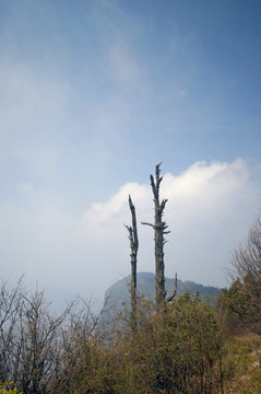 峨眉山万佛顶 自然风光