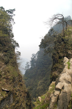 峨眉山自然风光 高山绝壁