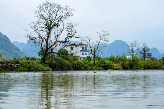 河岸人家