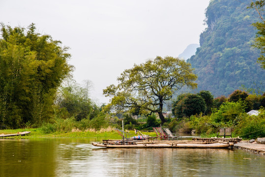 遇龙河河岸风光