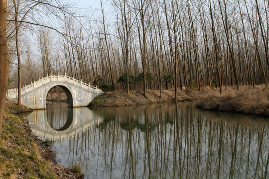 森林公园 小桥流水
