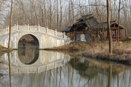 森林公园 小桥流水