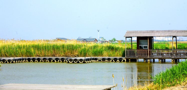 木屋栈道 曹妃甸 湿地 芦苇