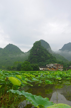 乡村美景