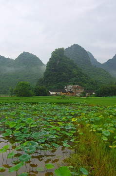 乡村美景