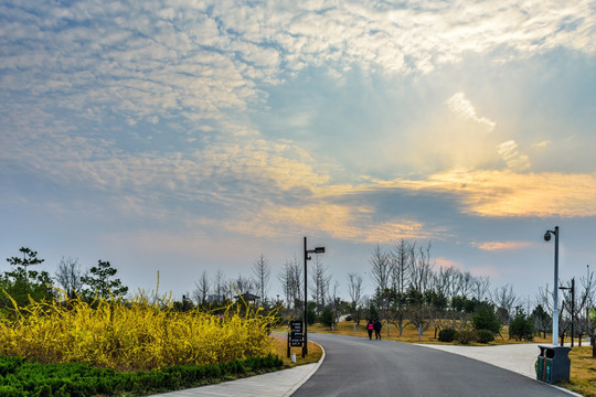 齊盛湖公園 晚霞