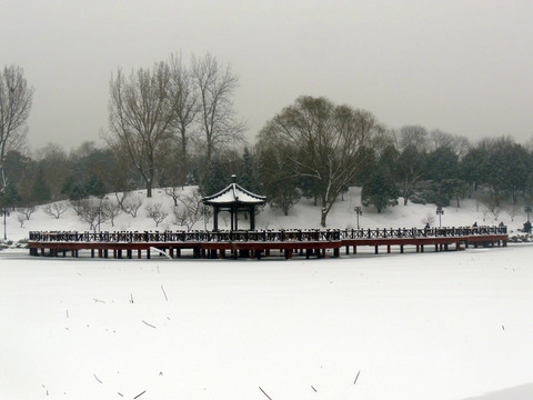 桥亭山雪