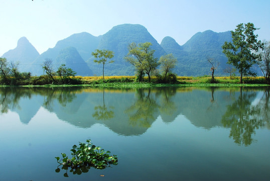 会仙河风光