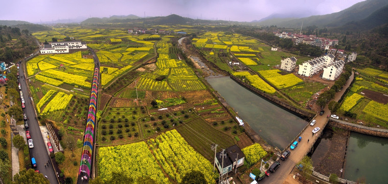 兰溪芝堰村油菜花 大幅全景航拍