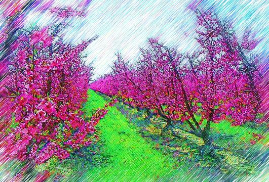 春意盎然 桃花