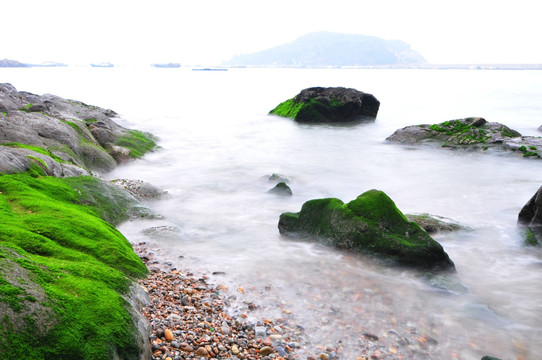 涌动的大海 海的春天 绿色的海