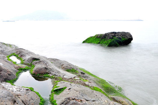 涌动的大海 海的春天 绿色的海