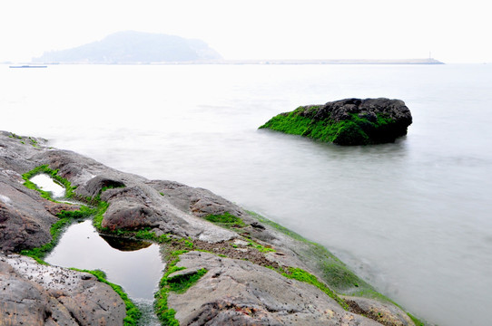 涌动的大海 海的春天 绿色的海