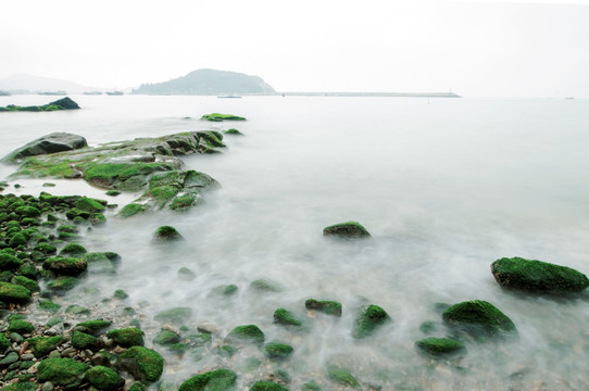 涌动的大海 海的春天 绿色的海