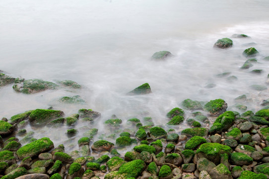 涌动的大海 海的春天 绿色的海