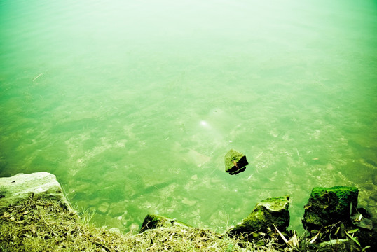 水池 江面 湖水