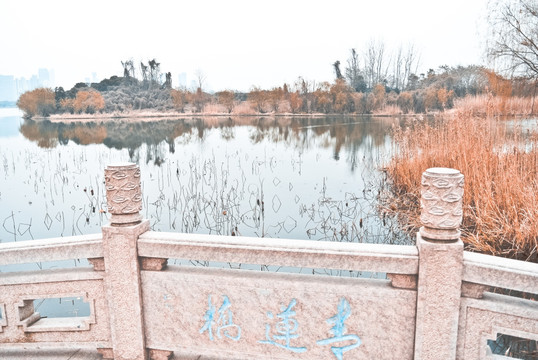 长广溪湿地公园