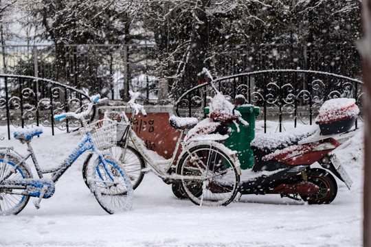 雪中自行车