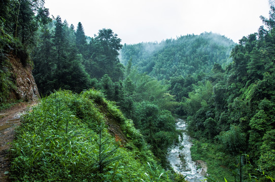 雾色山景