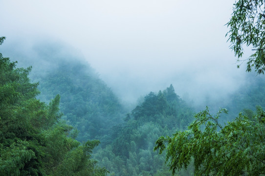 雾色山景