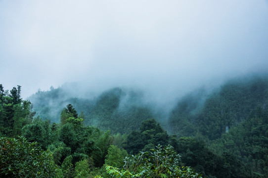 雾色山景