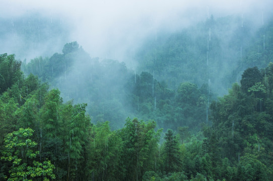 雾色山景