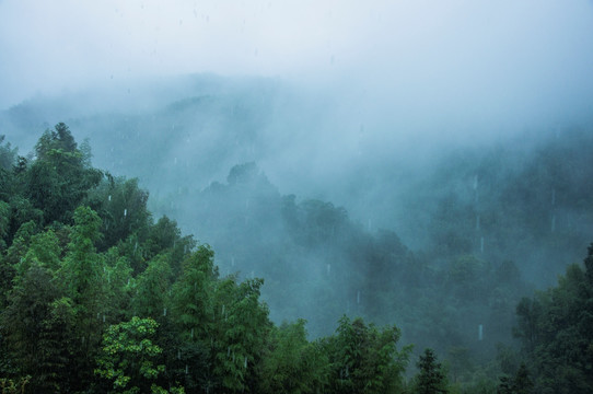 雾色山景