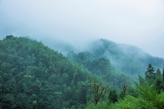 雾色山景