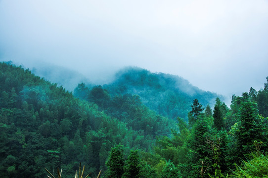 雾色山景