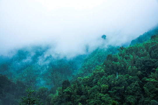 雾色山景