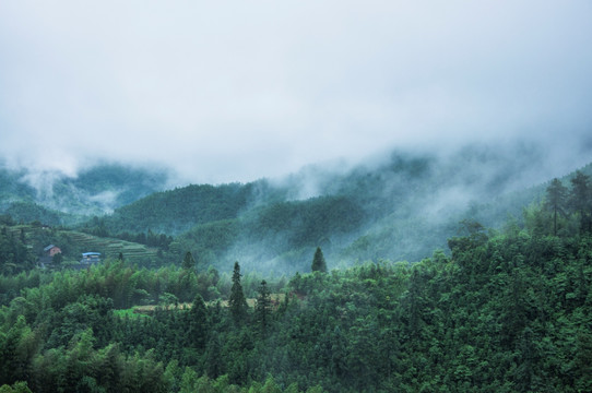 雾色山景