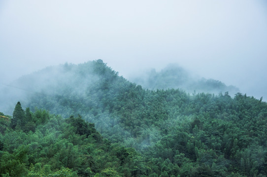 雾色山景