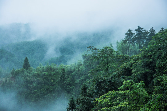 雾色山景