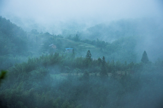 雾色山景