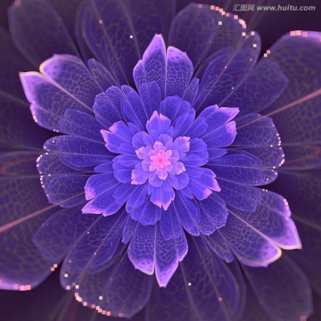 花朵