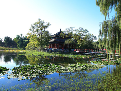 北京湖水