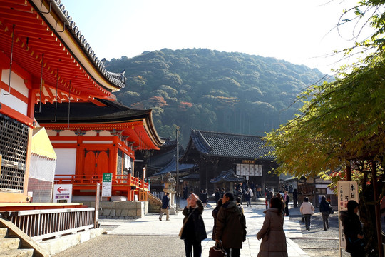 日本清水寺