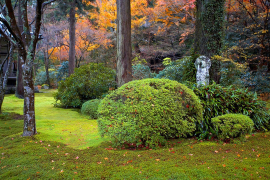 日本三千院