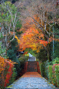 日本寂光院